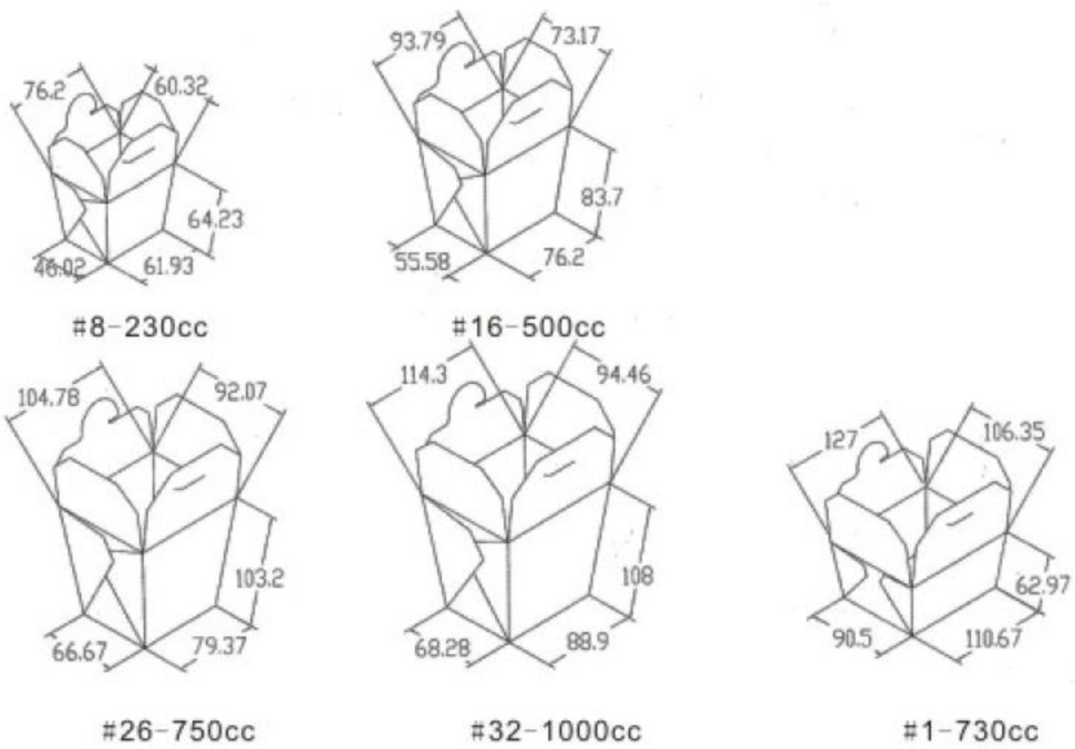Carton Erecting Machine ZX 1200 7